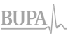 "Gray Futura logo with a sleek, modern font style."